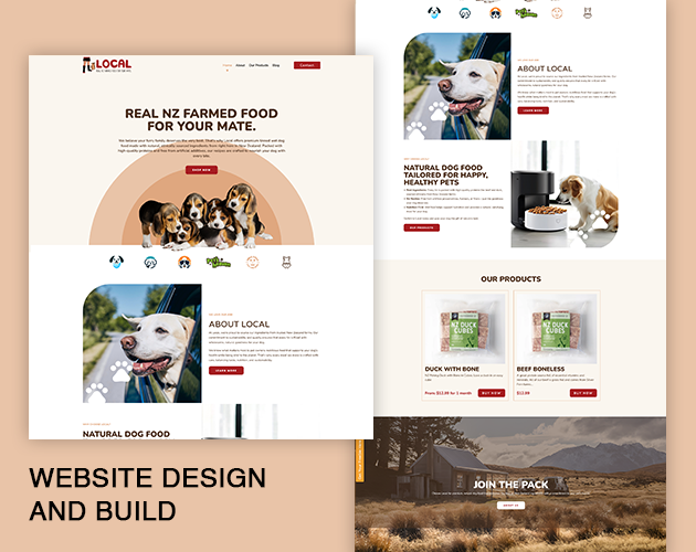 Website Design